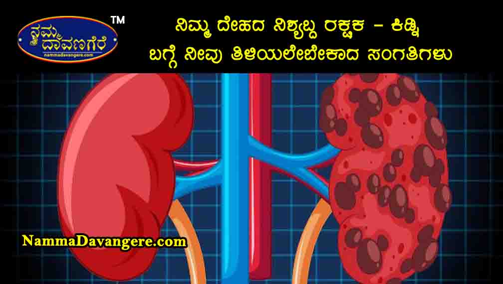 🌟 “ನಿಮ್ಮ ದೇಹದ ನಿಶ್ಯಬ್ದ ರಕ್ಷಕ – ಕಿಡ್ನಿ ಬಗ್ಗೆ ನೀವು ತಿಳಿಯಲೇಬೇಕಾದ ಸಂಗತಿಗಳು!”