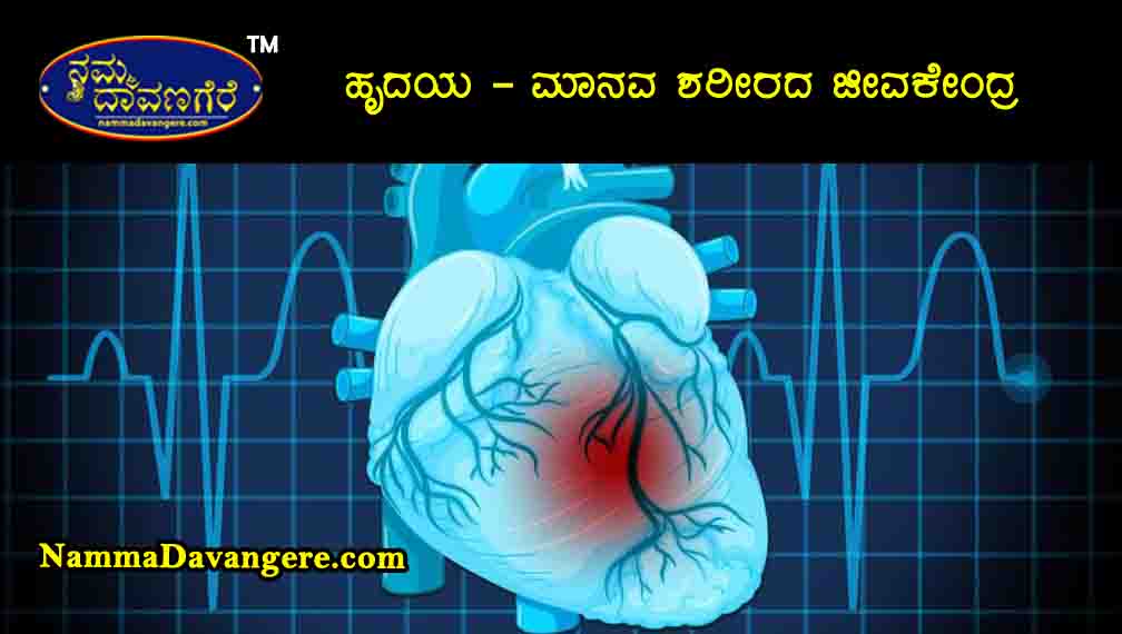 ಹೃದಯ – ಮಾನವ ಶರೀರದ ಜೀವಕೇಂದ್ರ